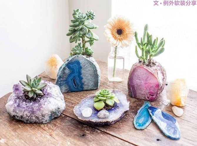 地球人都得了一種，看見“她”就想抱回家養的??！-別墅設計,軟裝設計,室內設計,豪宅設計,深圳例外軟裝設計公司