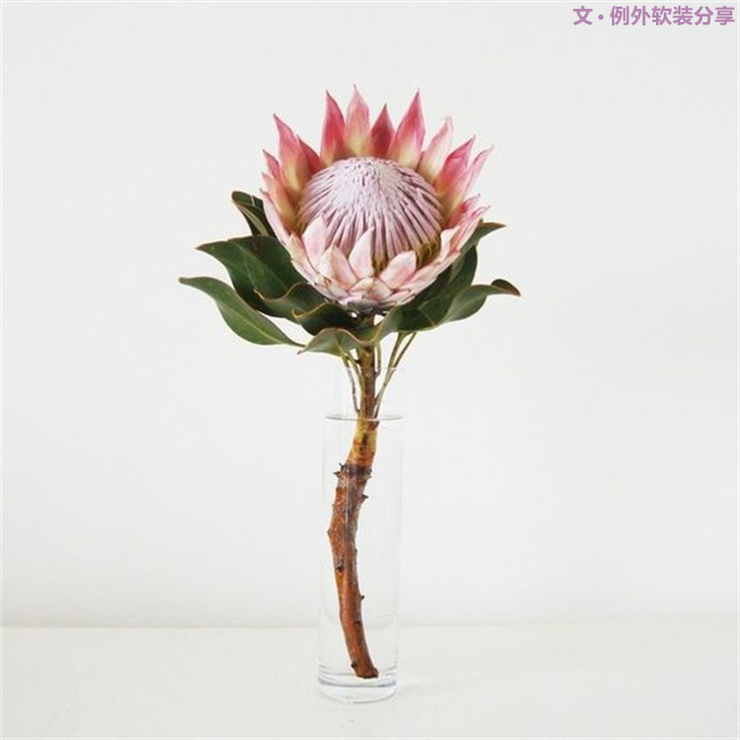 【例外·花箋記】沒有哪個姑娘能拒絕這樣一支奇葩！-別墅設計,軟裝設計,室內設計,豪宅設計,深圳例外軟裝設計公司