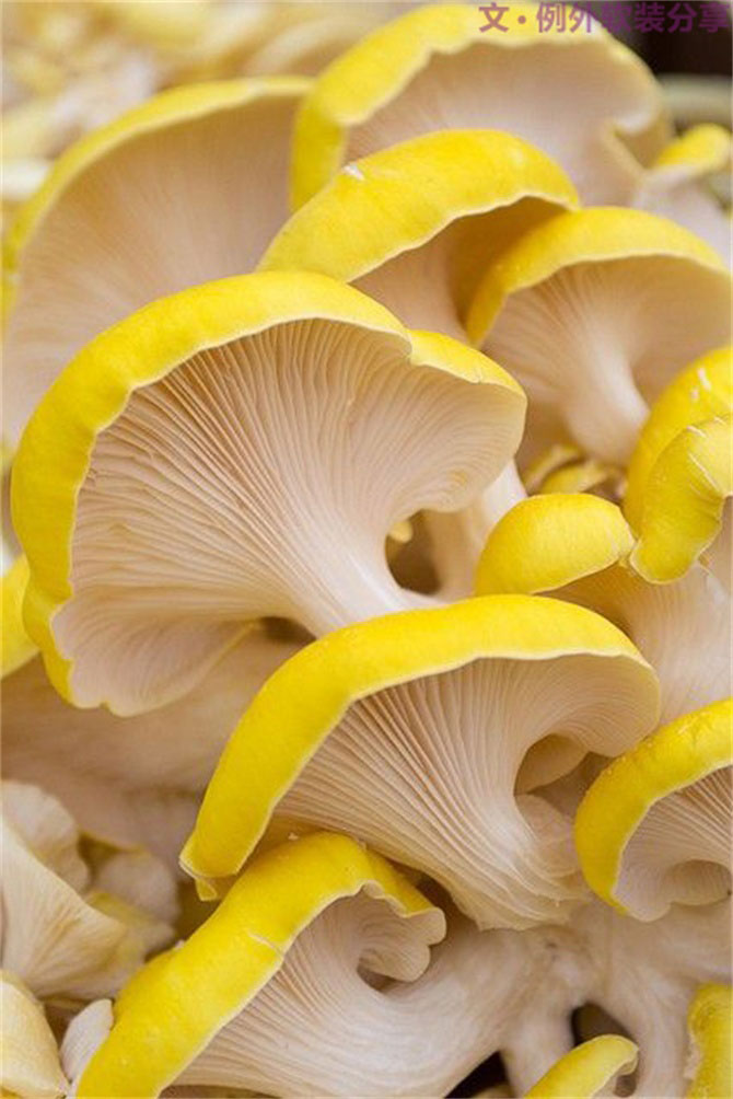 深圳又雙叒叕要入冬了，這次成功登陸？-別墅設計,軟裝設計,室內設計,豪宅設計,深圳例外軟裝設計公司