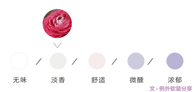 【例外·花箋記】洋牡丹，花叢中的人氣精靈-別墅設計,軟裝設計,室內設計,豪宅設計,深圳例外軟裝設計公司