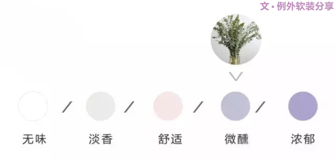 【例外.花箋記】尤加利，花藝界的百搭神葉-別墅設計,軟裝設計,室內設計,豪宅設計,深圳例外軟裝設計公司